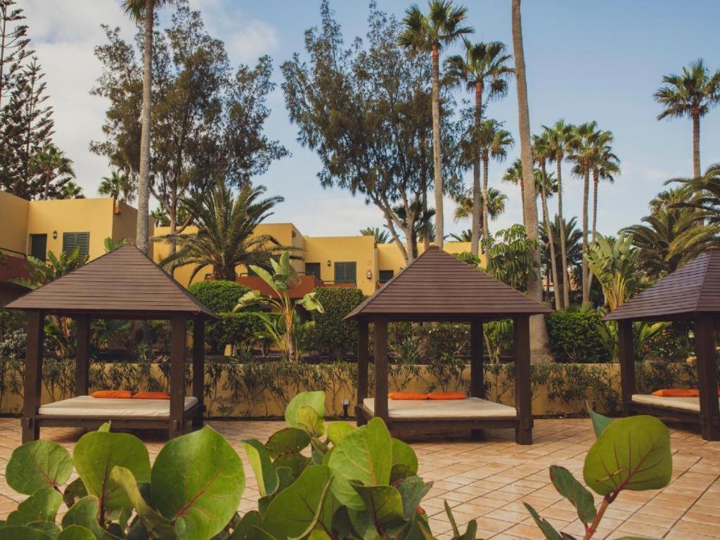 Pachi Beach Atlantic Garden คอร์ราเลโฮ ภายนอก รูปภาพ